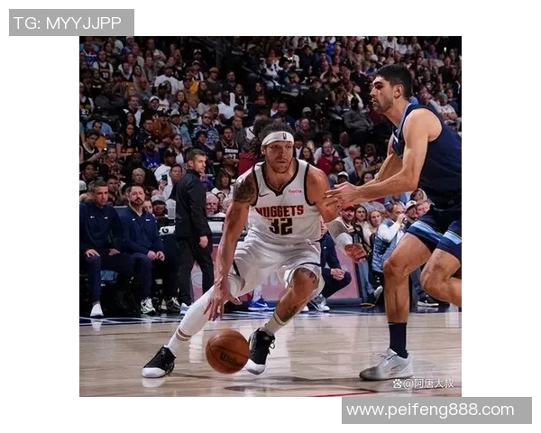 12月4日NBA猛龙对阵掘金精彩比赛录像回放全程回顾与分析