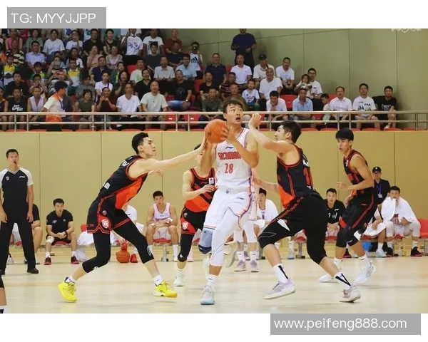 浙职院与上海队激烈对决篮球比赛精彩录像回顾与分析