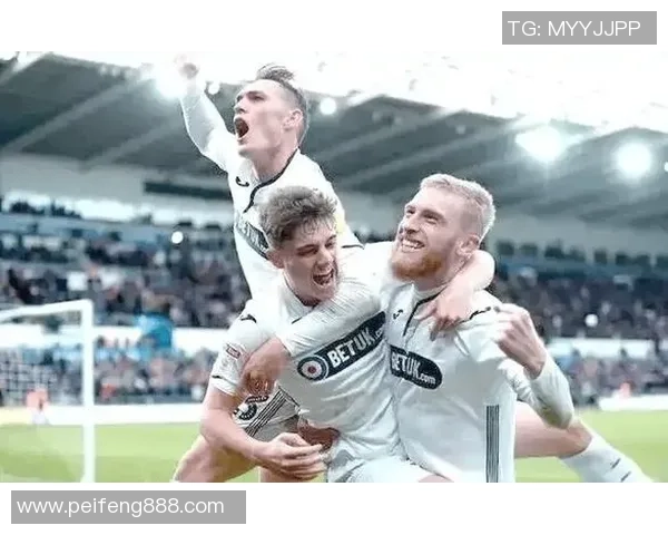 英冠激战考文垂迎战卡迪夫城双方争夺关键积分的精彩对决