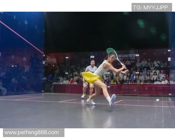 2025我国壁球公开赛开幕,这些明星全部参与 2025我国壁球公开赛开幕,这些明星全部参与